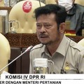 Blak-blakan Mentan Soal Ketahanan Pangan Hingga Food Estate