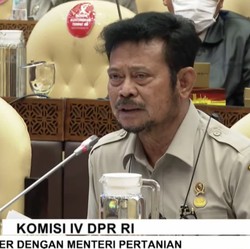Blak-blakan Mentan Soal Ketahanan Pangan Hingga Food Estate