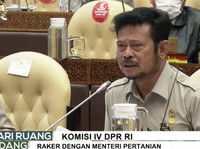 Mentan Akui 2022 Tahun Berat, Pangan Aman?