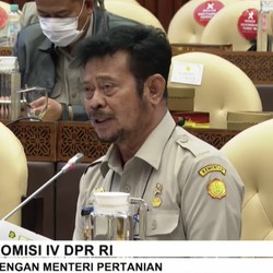 Ini Target Produksi Komoditas Pangan Utama 2023, Cek!