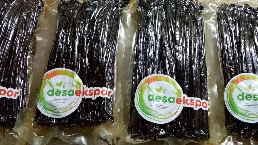 Petani menggunakan sarung tangan untuk menjaga kebersihan selama proses vanilla dryer. (Tangkapan Layar via Instagram @desa_ekspor_indonesia)