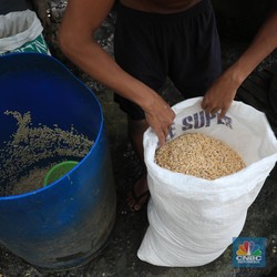 Ada Skenario Darurat, Ada Apa dengan Stok Kedelai?