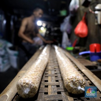 Wadaw! Tempe-Tahu Terancam Langka Nih, Ada Apa?