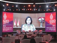 Sri Mulyani ke Delegasi G20: Jangan Kaget, Jakarta Kini Hijau