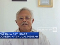 Kunci RI Maksimalkan Potensi Batu Bara & Capai Target EBT