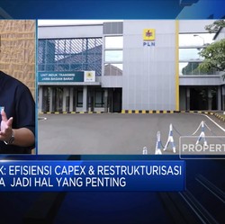 Begini Jurus Erick Thohir Pangkas Utang PLN