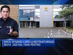 Bentuk 2 Subholding PLN di Tahap Awal,Ini Target Erick Thohir