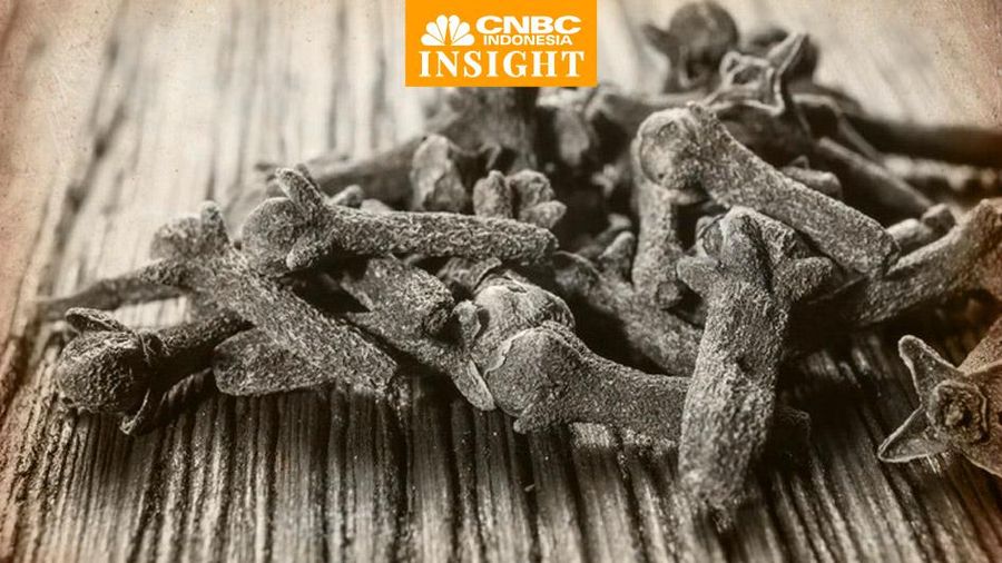 Cover Insight, Cengkeh