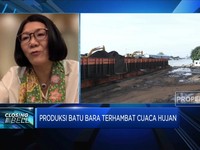 Curah Hujan Tinggi, Target Produksi Batu Bara Penambang Aman?