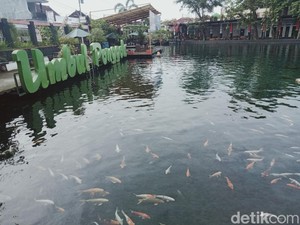 Daftar 10 Wisata Kolam Alami dari Mata Air Pegunungan, Indah dan Sejuk