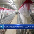 Rupiah Tekor, Siap-Siap Harga Tempe, HP hingga BBM Bisa Naik!