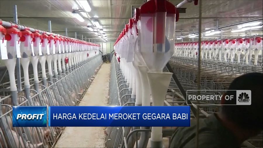 Produsen tahu dan tempe tanah air bersiap ketar ketir menghadapi bahan baku kedelai yang melambung.