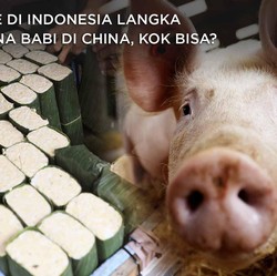 Tak Semua Salah Babi China, Ini Penyebab Tempe-Tahu RI Langka