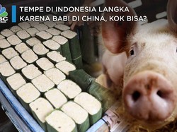 Tempe di Indonesia Langka Karena Babi di China, Kok Bisa?