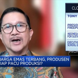 Ini Peran Freeport di 'Bank Emas' Punya RI, Mendominasi Kah?