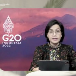 Diwarnai Walk-Out, Ini Hasil Pertemuan Menkeu G20 di AS