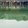 Hong Kong Babak Belur, 