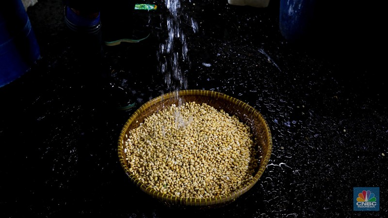 Pekerja memproduksi tahu di pabrik tahu kawasan Duren Tiga, Jakarta Selatan, Rabu (23/2/2022). Usai melakukan melakukan mogok produksi sejak 21 februari kemarin, para perajin tahu di lokasi ini mulai membuat tahu kembali untuk dijual keesokan harinya. (CNBC Indonesia/Andrean Kristianto) Pekerja memproduksi tahu di pabrik tahu kawasan Duren Tiga, Jakarta Selatan, Rabu (23/2/2022). Usai melakukan melakukan mogok produksi sejak 21 februari kemarin, para perajin tahu di lokasi ini mulai membuat tahu kembali untuk dijual keesokan harinya. (CNBC Indonesia/Andrean Kristianto)