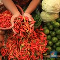 Harga Cabai Pedas Banget, Rp 100 Ribu Sekilo!