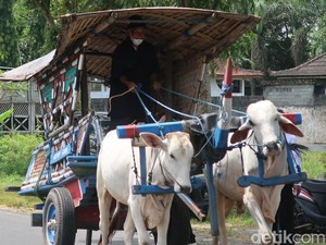 Makna Kata Bajingan Alami Perubahan Eksternal, Dari Profesi Jadi Makian