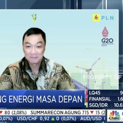 Bos PLN Ungkap Renewable Energi Harganya Makin Murah
