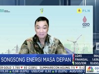 Bos PLN Ungkap Renewable Energi Harganya Makin Murah