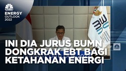 Jurus BUMN Genjot Kontribusi EBT Bagi Ketahanan Energi RI