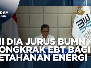 Jurus BUMN Genjot Kontribusi EBT Bagi Ketahanan Energi RI