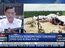 'Kiamat' PLTU Batu Bara, Luhut: Bertahap Sampai 2060