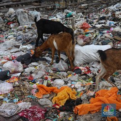 Siap-Siap, Sembarang Buang Sampah Bakal Kena Pajak-Begini Rencana KKP