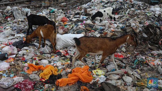 Siap-Siap, Sembarang Buang Sampah Bakal Kena Pajak-Begini Rencana KKP