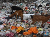 Siap-Siap, Sembarang Buang Sampah Bakal Kena Pajak-Begini Rencana KKP