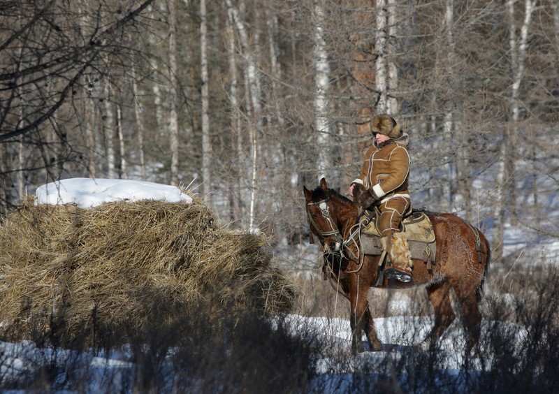 Presiden Rusia Vladimir Putin berenang saat bepergian di pegunungan wilayah Tyva Siberia, Rusia, Senin, (3/8/2009). (AP Photo/ RIA Novosti, Alexei Drizhinin, Pool)