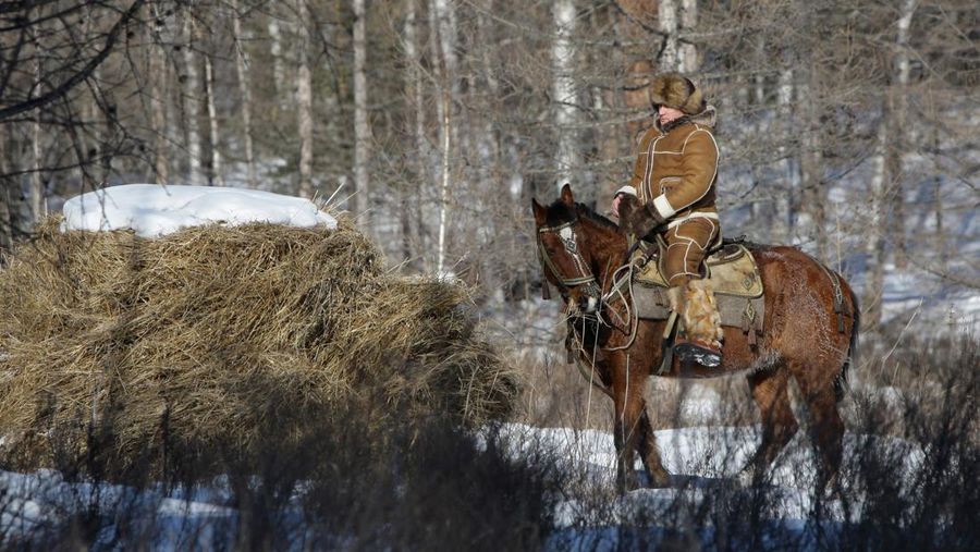 Presiden Rusia Vladimir Putin berenang saat bepergian di pegunungan wilayah Tyva Siberia, Rusia, Senin, (3/8/2009). (AP Photo/ RIA Novosti, Alexei Drizhinin, Pool)