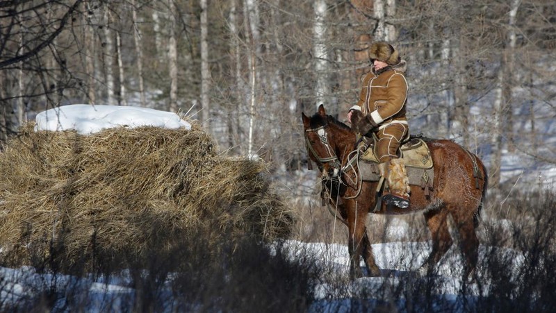 Presiden Rusia Vladimir Putin berenang saat bepergian di pegunungan wilayah Tyva Siberia, Rusia, Senin, (3/8/2009). (AP Photo/ RIA Novosti, Alexei Drizhinin, Pool)