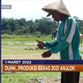 Produksi Beras NKRI Turun, Kok Bisa?