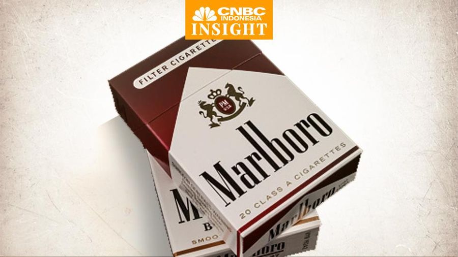 Cover Insight, Rokok