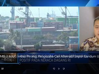 Imbas Perang, Pengusaha Cari Alternatif Gandum Impor Ukraina