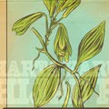 Ini Harta Karun Hijau RI yang Jadi Incaran Para Maling