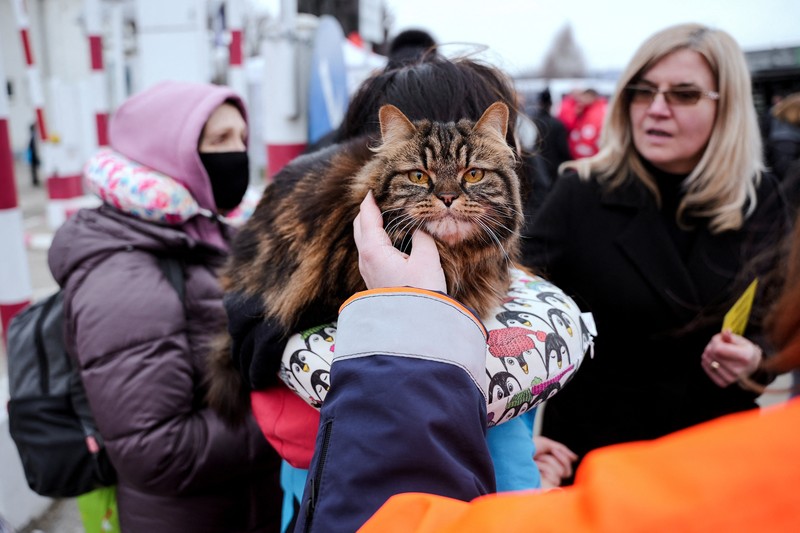 A woman with her cat arrives from Ukraine to Romania, after Russia launched a massive military operation against Ukraine, at Sighetu Marmatiei border crossing near Baia Mare, Romania February 26, 2022. REUTERS/Fedja Grulovic