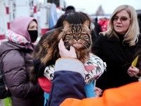 Saat Kucing & Anjing Ikut Ngungsi Karena Perang Rusia-Ukraina