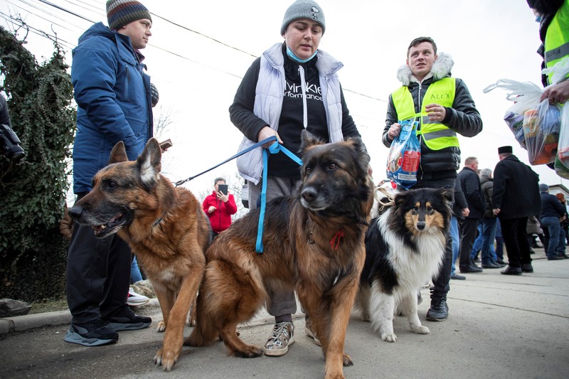 A woman with her cat arrives from Ukraine to Romania, after Russia launched a massive military operation against Ukraine, at Sighetu Marmatiei border crossing near Baia Mare, Romania February 26, 2022. REUTERS/Fedja Grulovic
