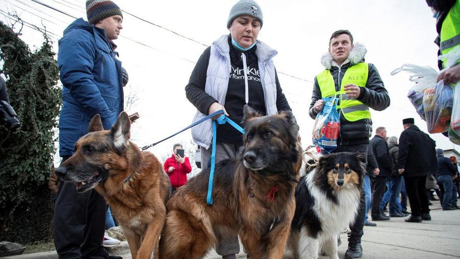 A woman with her cat arrives from Ukraine to Romania, after Russia launched a massive military operation against Ukraine, at Sighetu Marmatiei border crossing near Baia Mare, Romania February 26, 2022. REUTERS/Fedja Grulovic