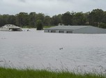 Australia Banjir Parah, Ribuan Rumah Terendam!