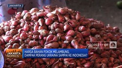 Dampak Perang Ukraina Sampai Ke RI, Harga Pangan Melonjak