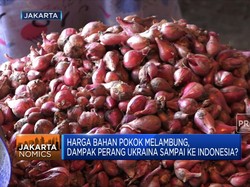 Dampak Perang Ukraina Sampai Ke RI, Harga Pangan Melonjak