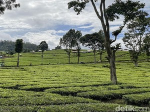 Wisata Wayang Windu: Harga Tiket, Jam Buka, hingga Daya Tariknya