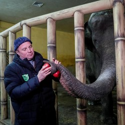 Miris! Ribuan Satwa Terperangkap di Kebun Binatang Ukraina