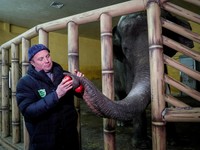 Miris! Ribuan Satwa Terperangkap di Kebun Binatang Ukraina