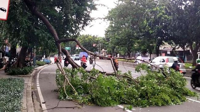 BMKG: Siaga Bencana Efek Cuaca Tanggal 2-8 September, Ini Lokasinya